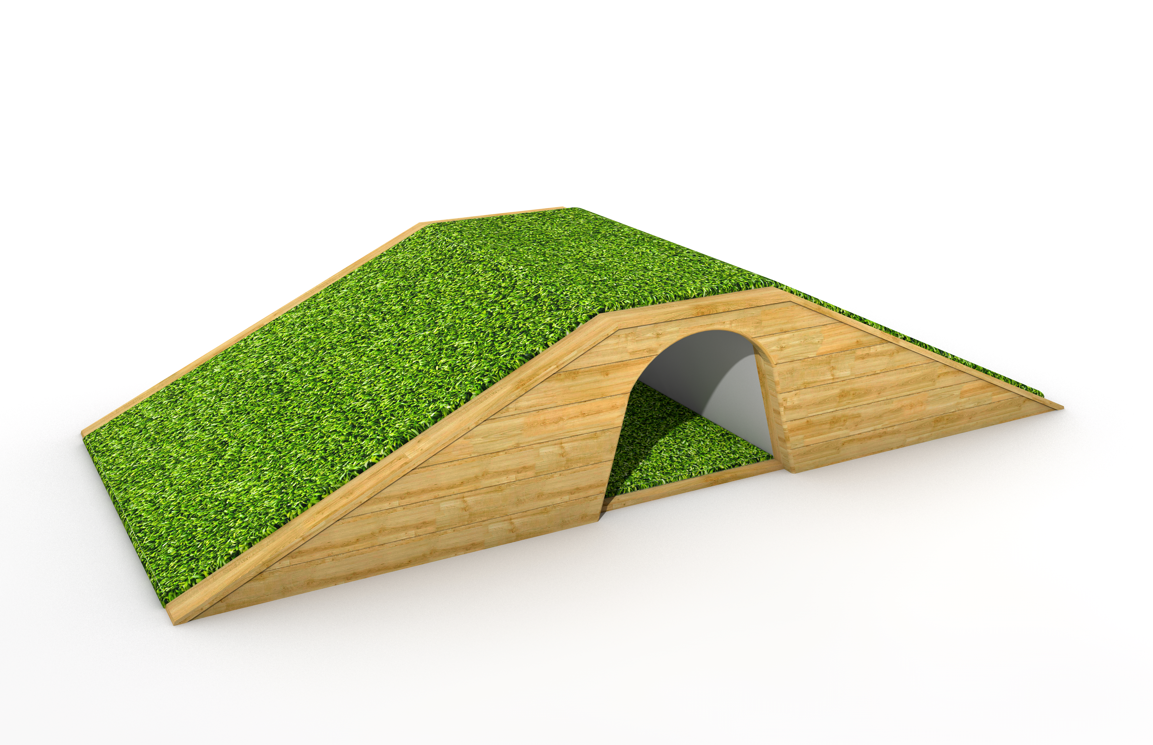 Ramp & Tunnel Hill 