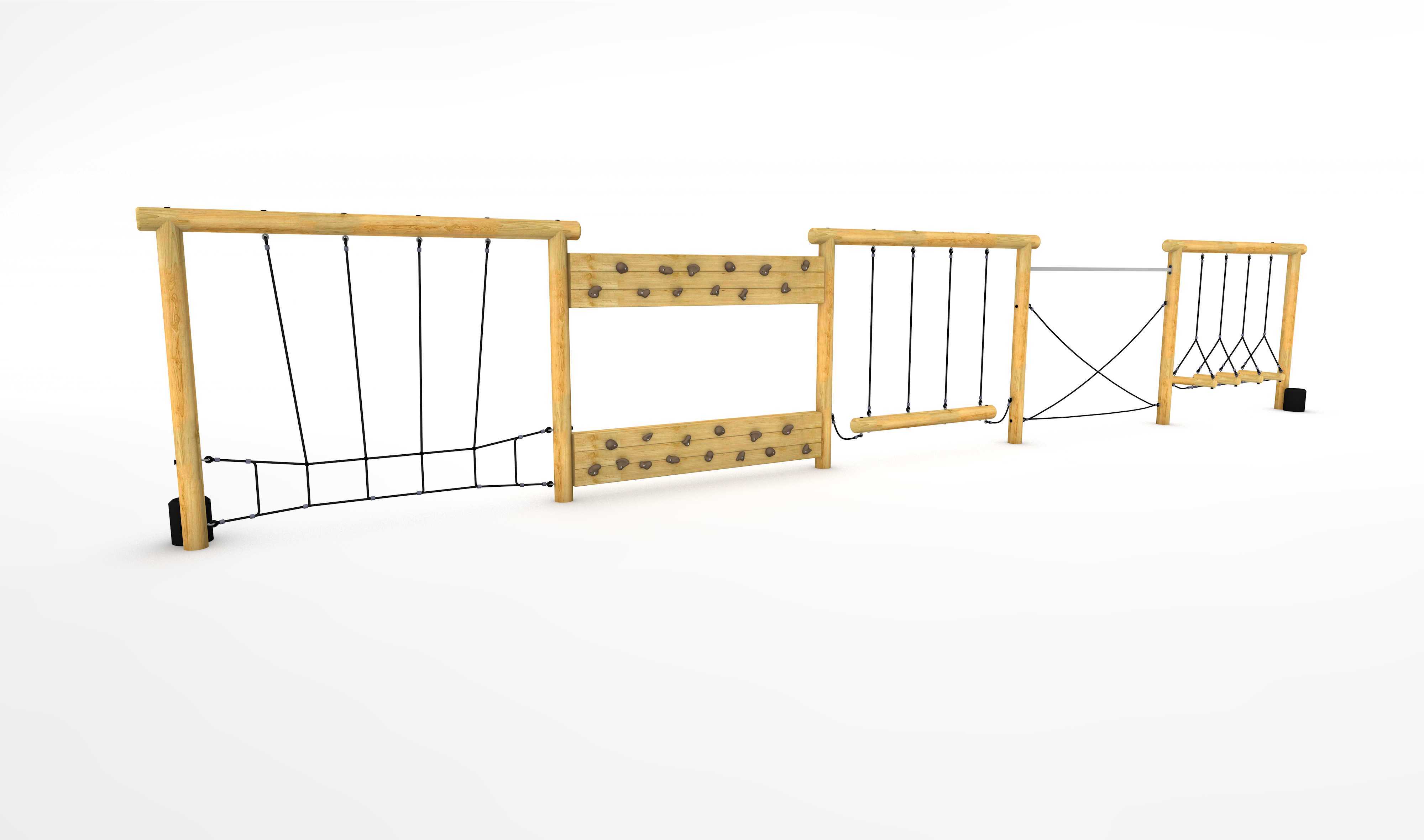 Marmoset Rig
