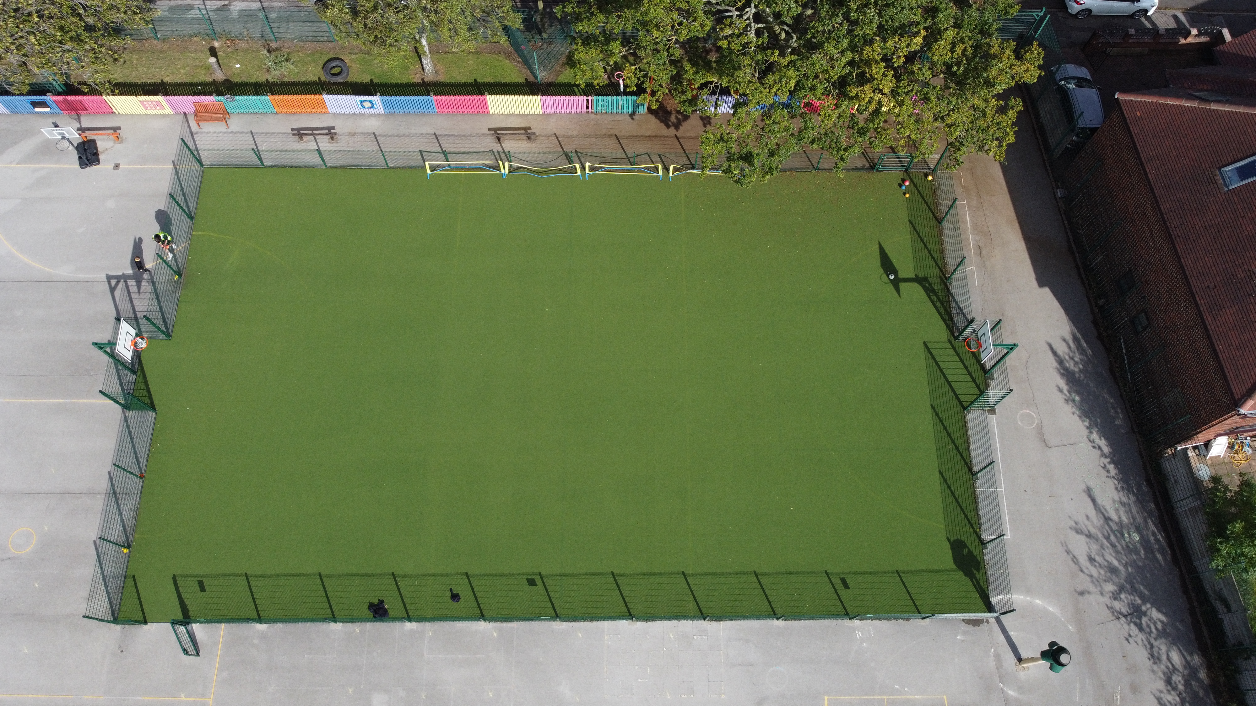 Multi Sport Carpet