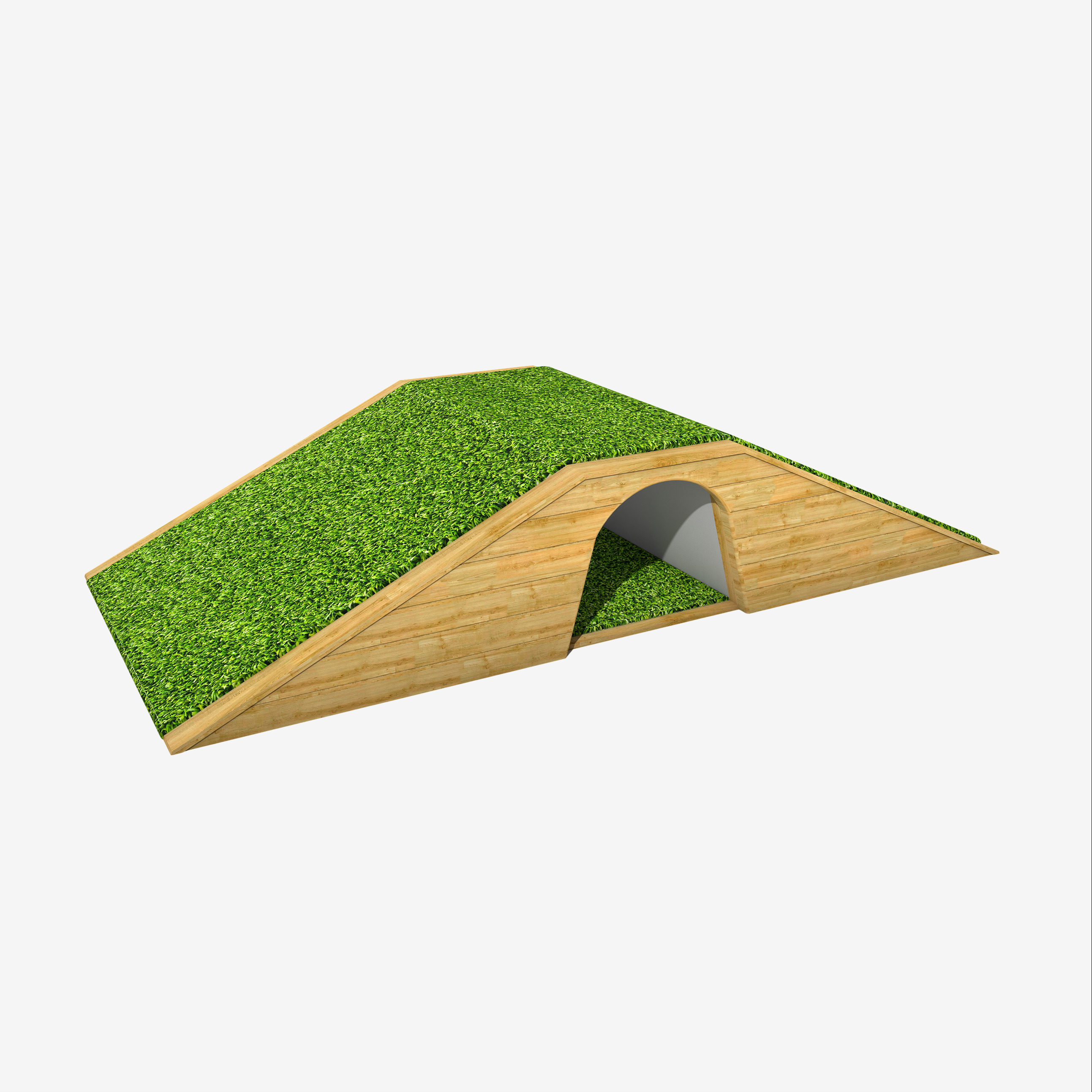 Ramp & Tunnel Hill 
