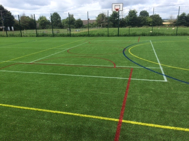 Sports Grass\