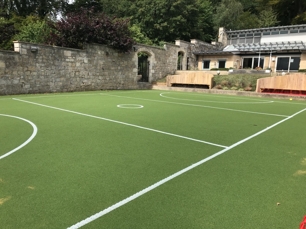 Sports Grass\