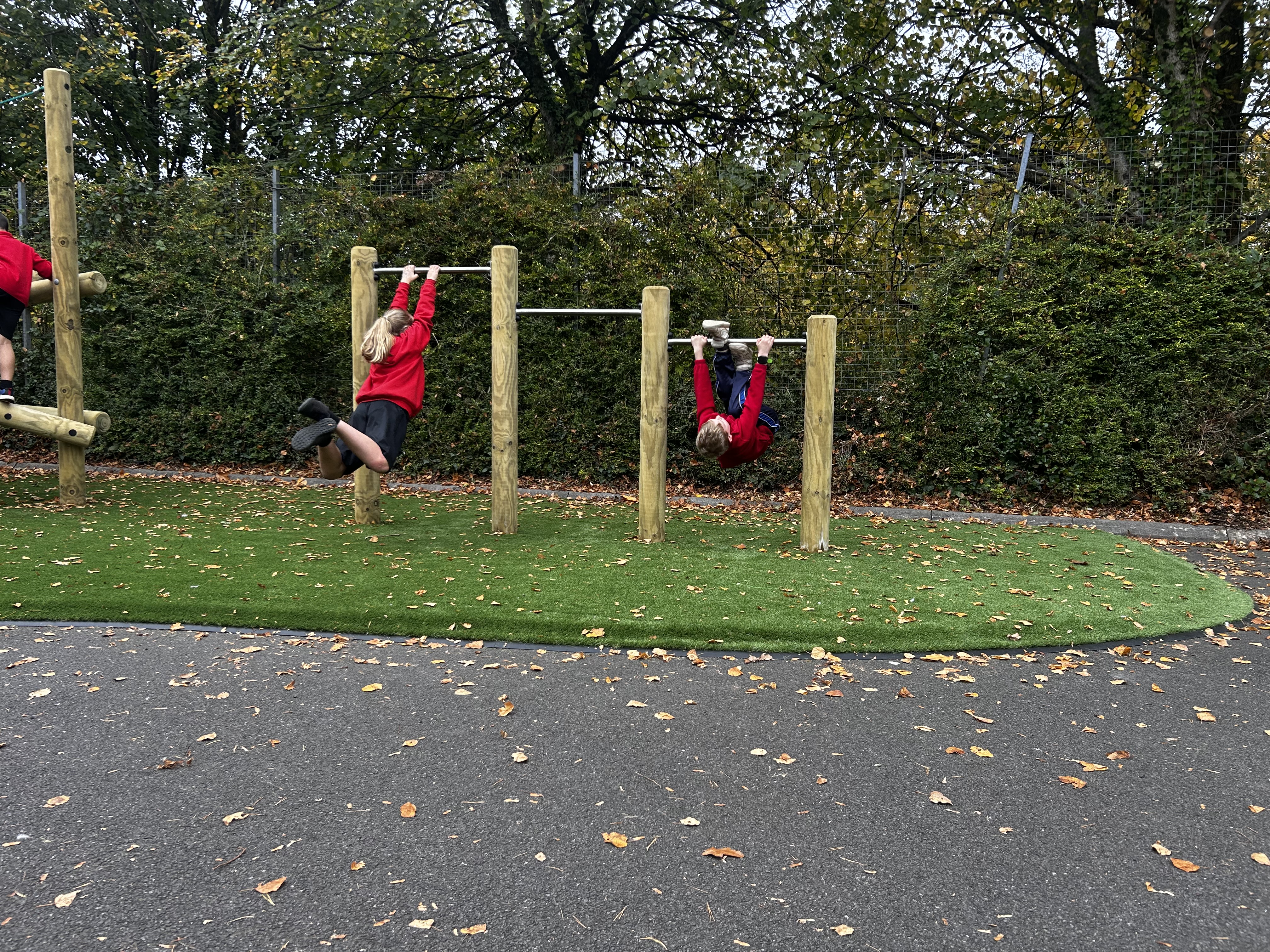 Roll Over Bars