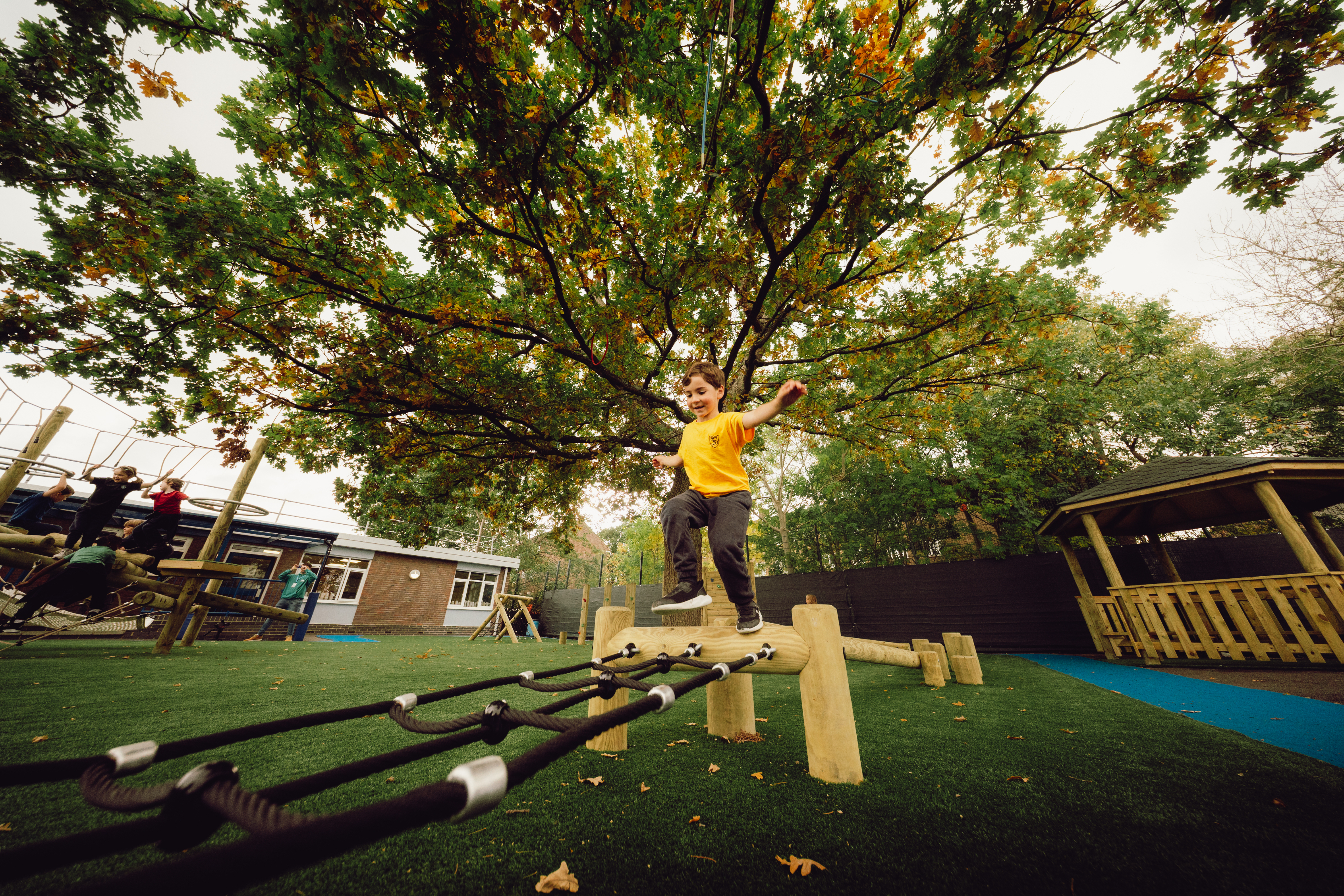 Low Level Trail - Balance Beam