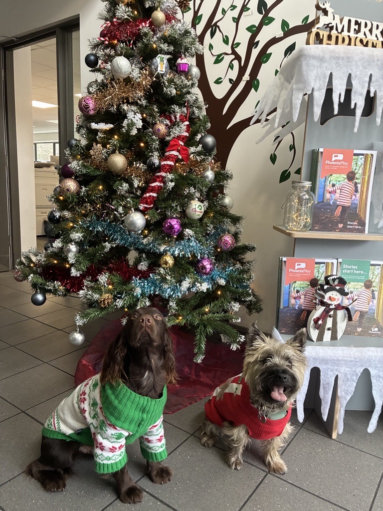 Dogs in Christmas jumpers