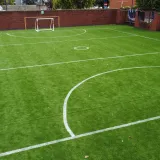 Sports Grass