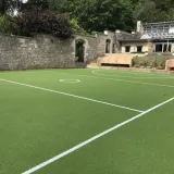 Sports Grass\