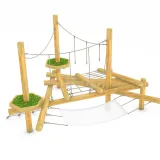 The Willow Forest Floor and Canopy