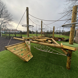 Maple Climber_Hampreston